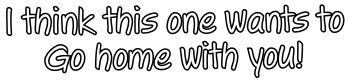 I think this one wants to  Go home with you!